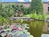 RESERVIERT: Ihr neues Zuhause mit wunderschönem Garten in Lingen-Laxten! - Bild